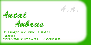 antal ambrus business card